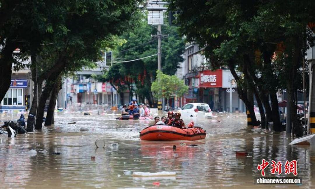 台风“沙德尔”已三次登陆:我翻遍全网“停电团灭”帖,整理出这份海缸应急清单