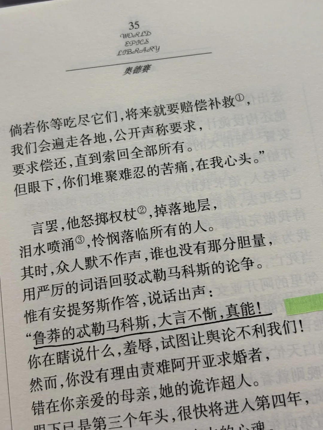 看完诺兰《奥德赛》想补原著?四大中译本避坑对比:刚刷边复活的百年译本,恰恰是第一次读别碰的