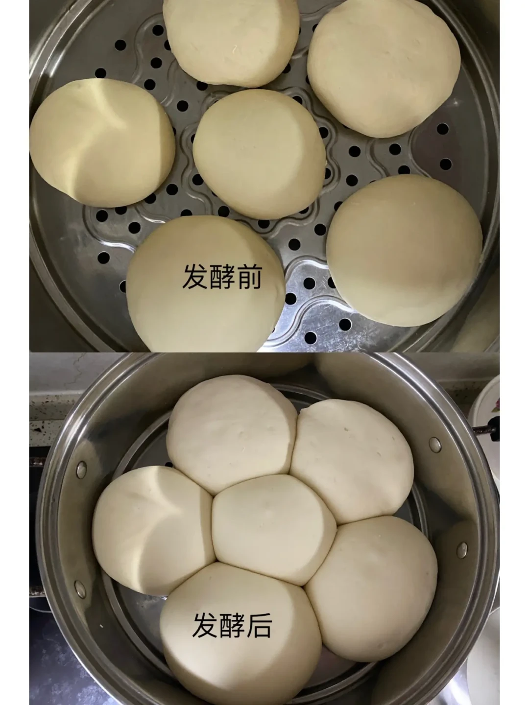 这两天小红书被「面发不起来」刷屏:安琪酵母其实有4种,拿错直接翻车,买单前先看7%这条线