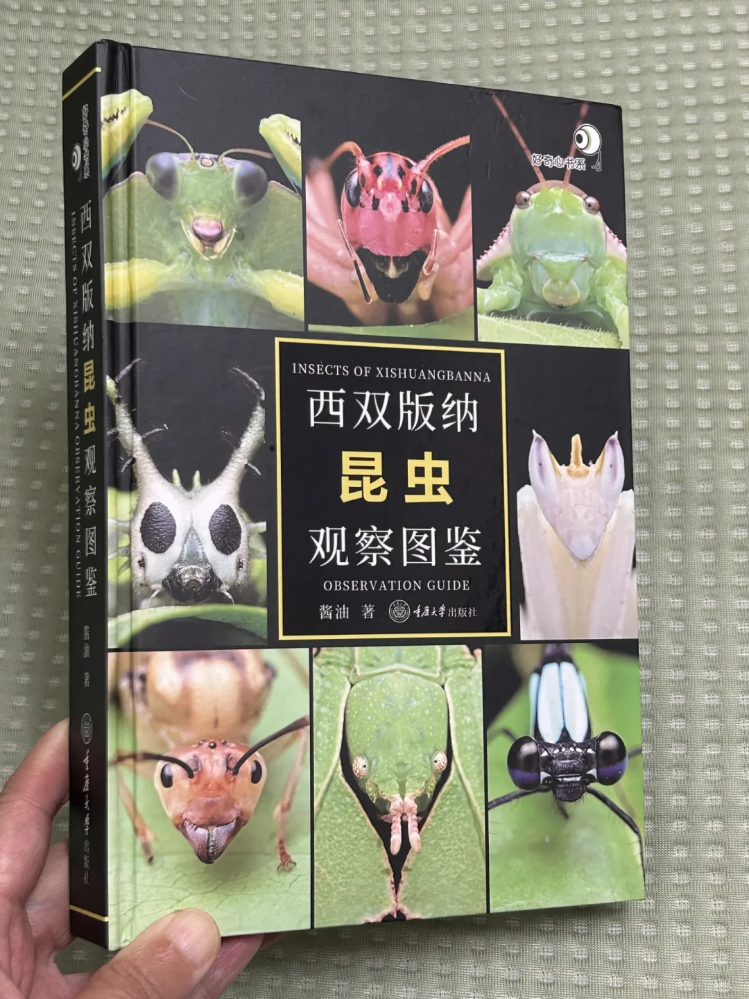 版纳昆虫研学翻车被曝光:下单前先问这3个问题,答不上来,你花的就不是自然课的钱