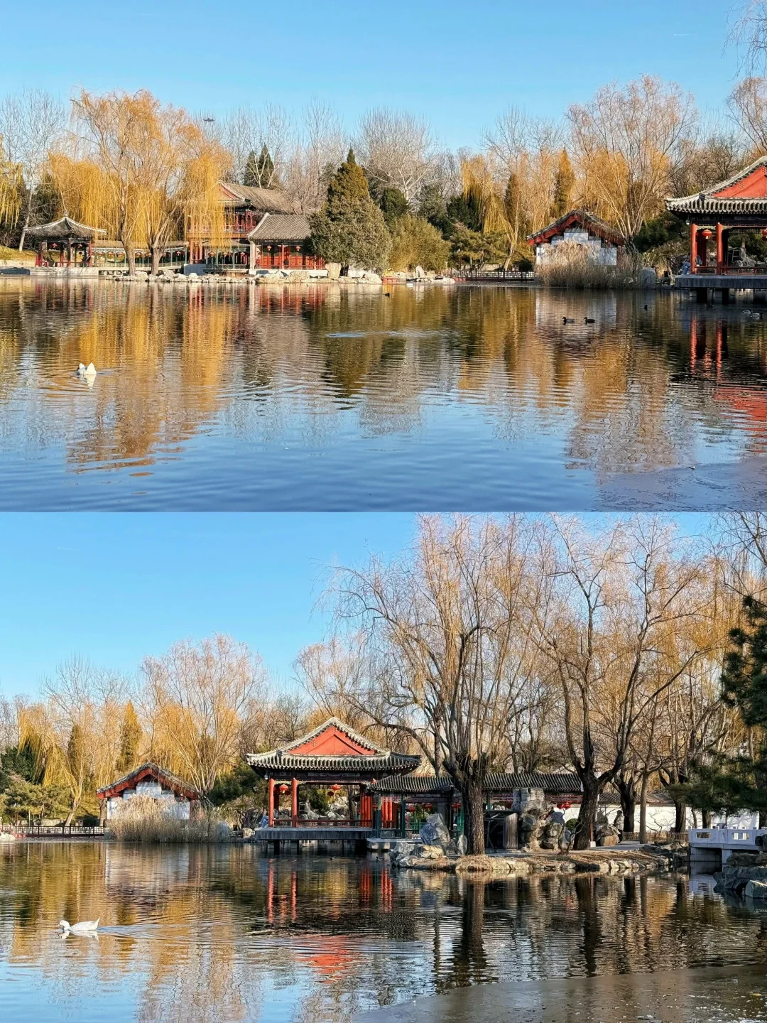 贾府的账被全网翻出来算:年收入八万两、年支出十一万两,对完原著这笔账是这么记的