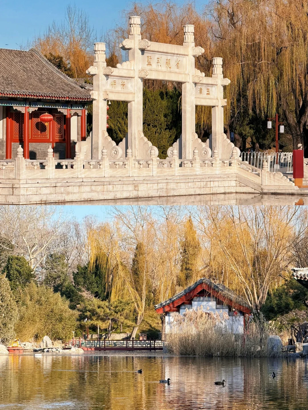 贾府的账被全网翻出来算:年收入八万两、年支出十一万两,对完原著这笔账是这么记的