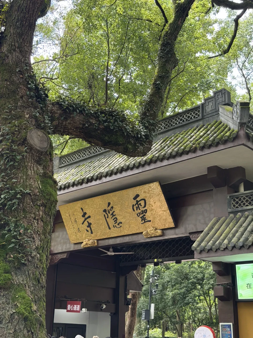 灵隐寺预约,别直接搜“灵隐寺”:小程序搜索结果前排,蹲着39元的购物团