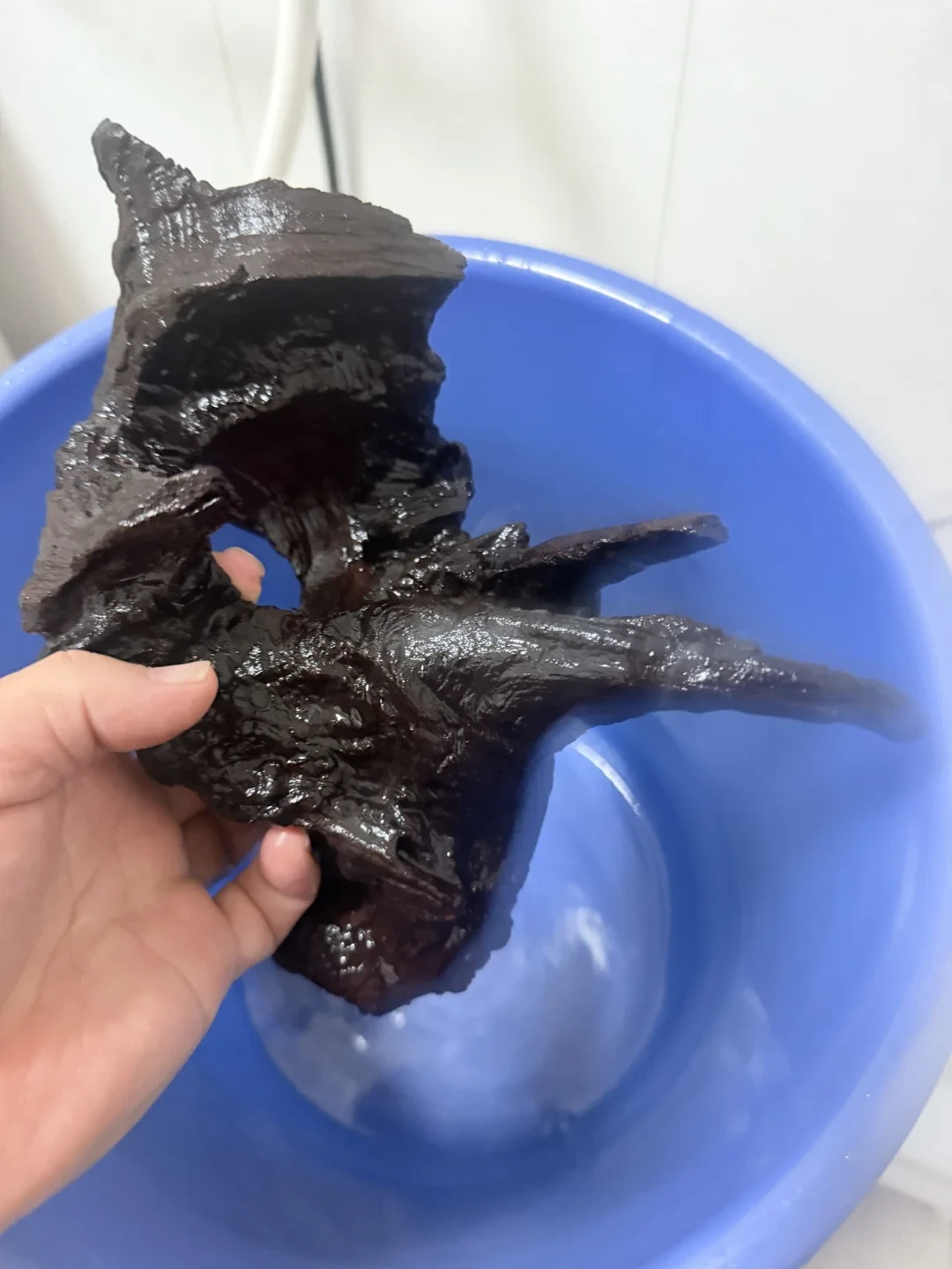青龙石顶pH、紫柚木把水煮成茶汤：翻完全网硬景素材翻车帖，秋开缸下单前先做这套0元预检