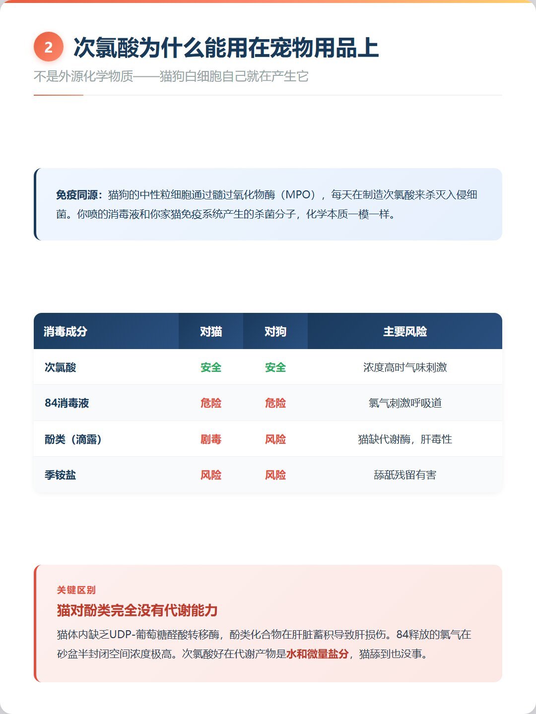 按说明拖了地,5只幼猫死了:没有强制国标的品类,养猫家庭怎么选消毒液