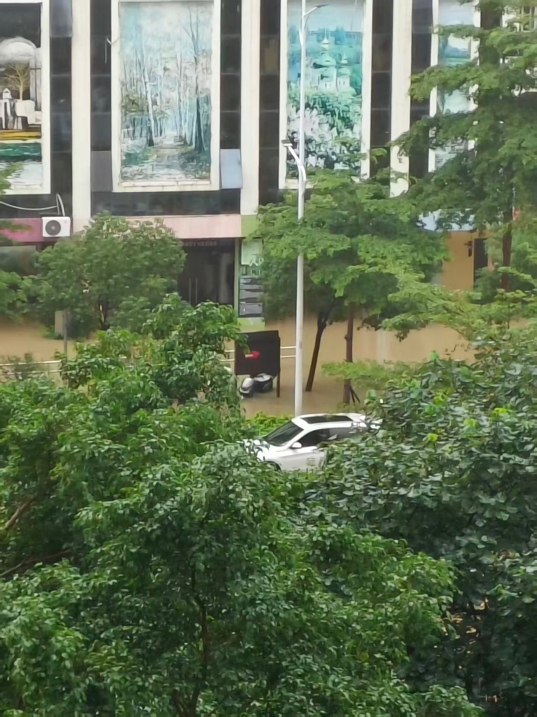 一天下出北方一年的雨量：水退之后推开家门，第一步不是收拾