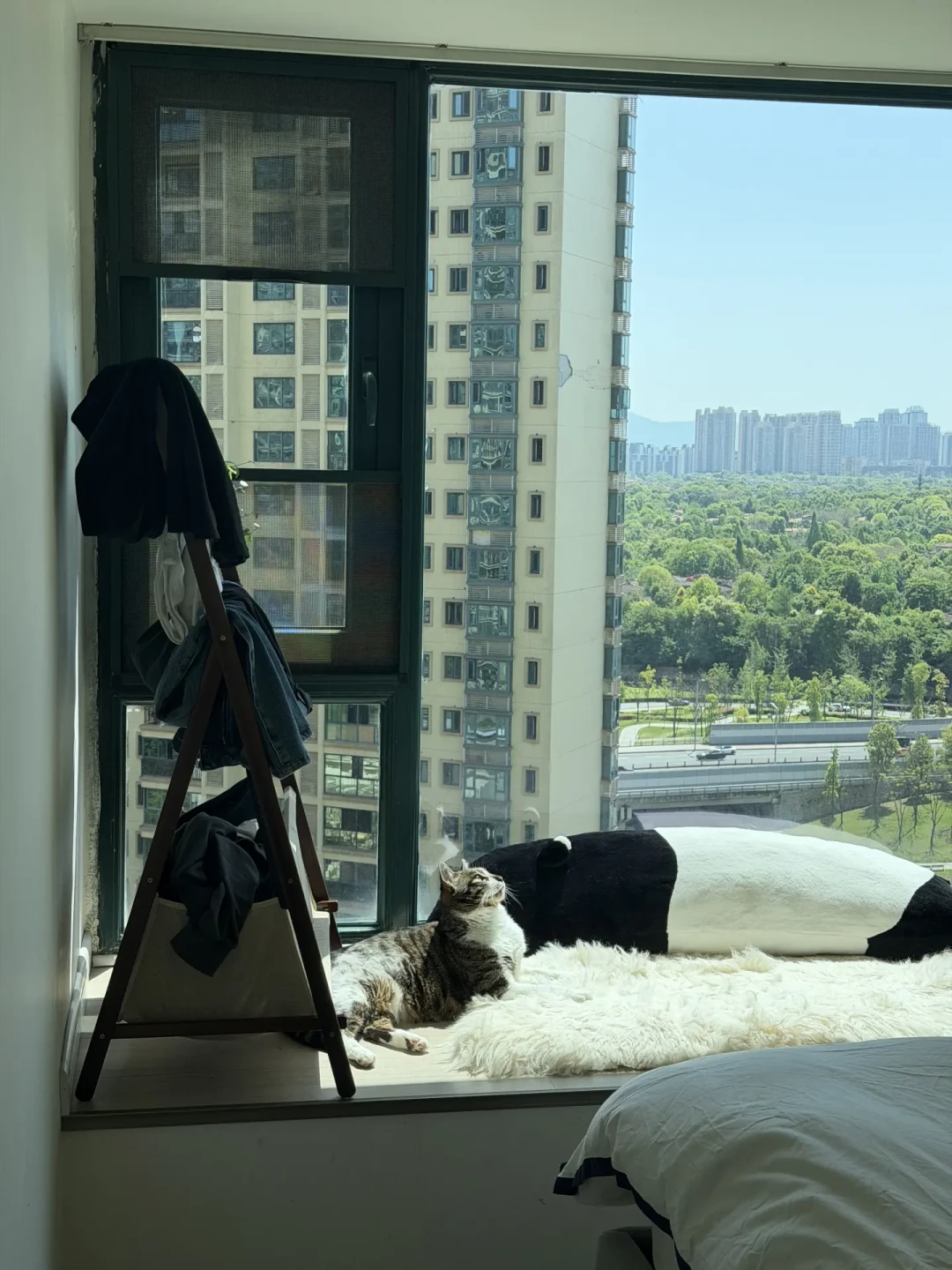 飘窗,一半人晒爆改一半人悔砸了:翻完4平台60多篇帖子和一份真实判决,我把
