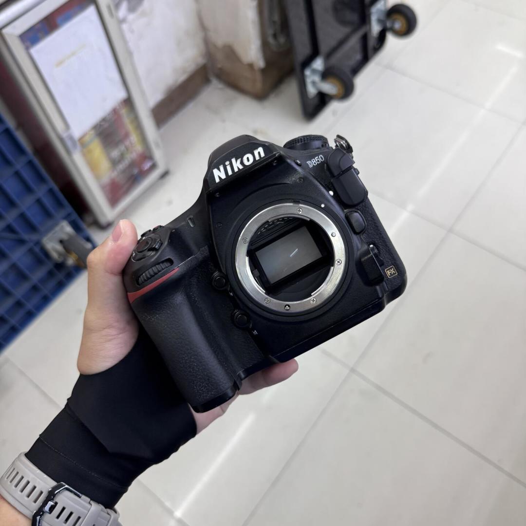 D800 跌到两千档、Z7II 七千就能拿：九月这张 F 口老玩家的“续命还是灭门”赔率表，该怎么读