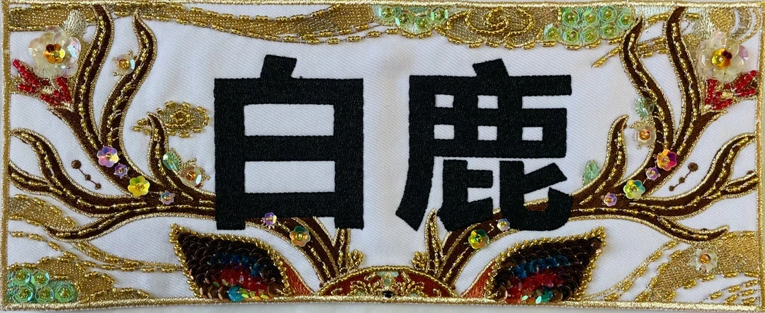 陈赫粉丝的半年