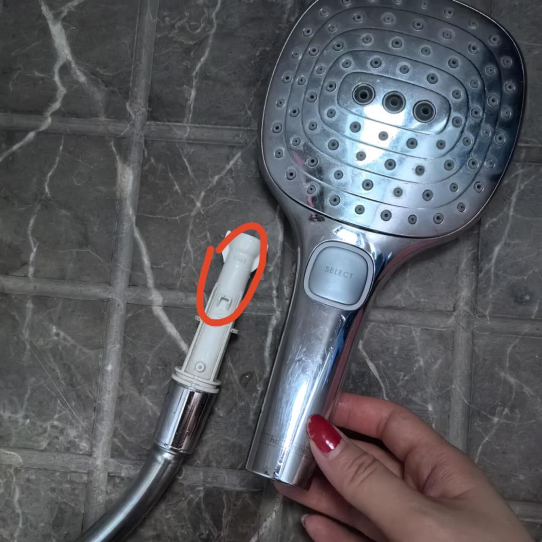 汉斯格雅