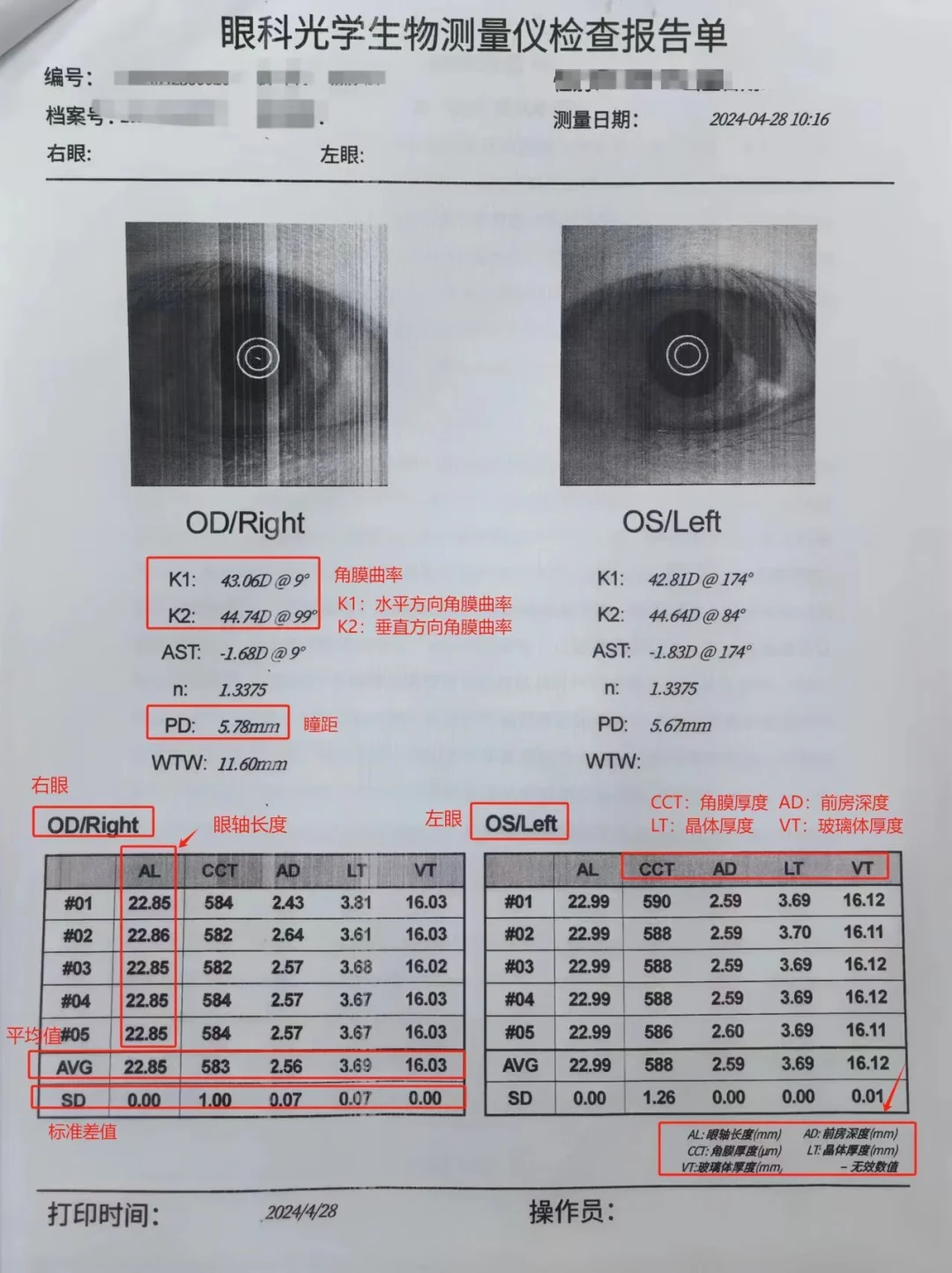 学校筛查单上的