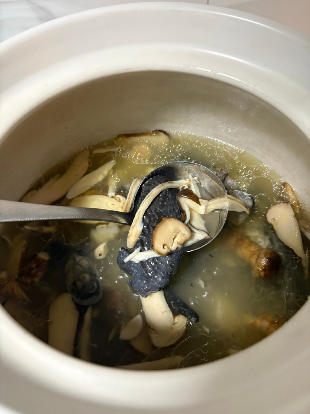 云南尾货一百多、延边下山一千三:松茸换季这一周,品质控买前先对产地和日期
