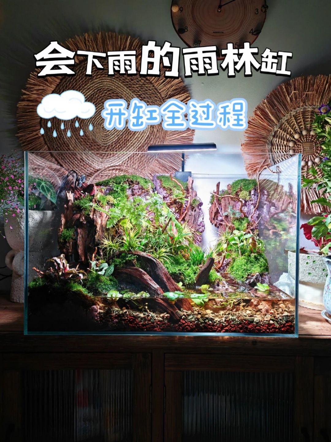 198的成品缸和8000的定制缸，差价到底在哪：扒完这波开缸季的晒价帖、翻车帖和“做局”争论，我把入秋开缸预算怎么留、哪笔钱是学费理清了