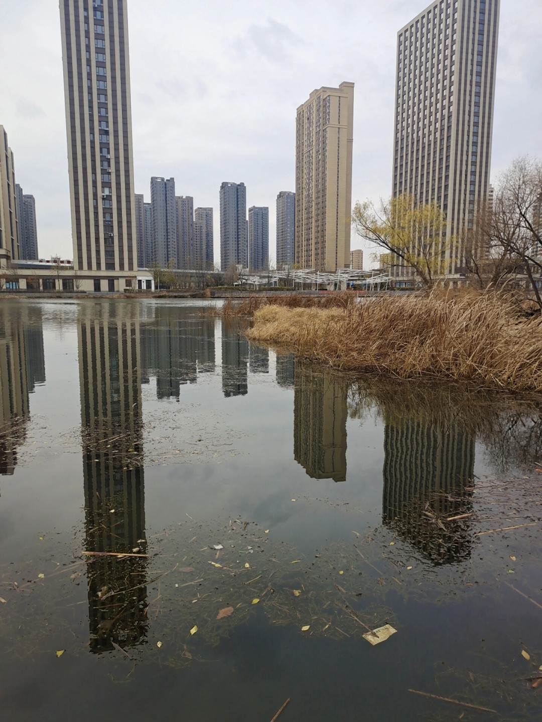 晚上八点,桥上的钓位已经满了:入秋夜钓正流行“挂到桥上去”,150元一套的作业,避开四个坑再抄