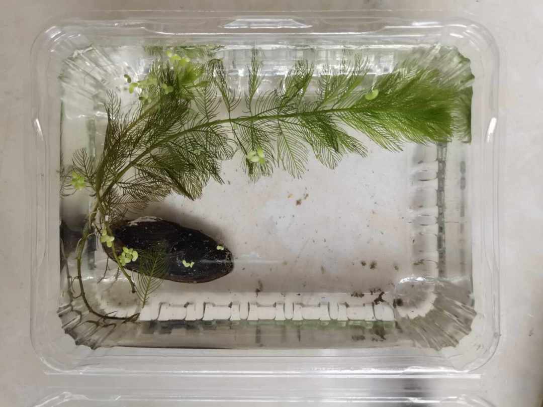 9月