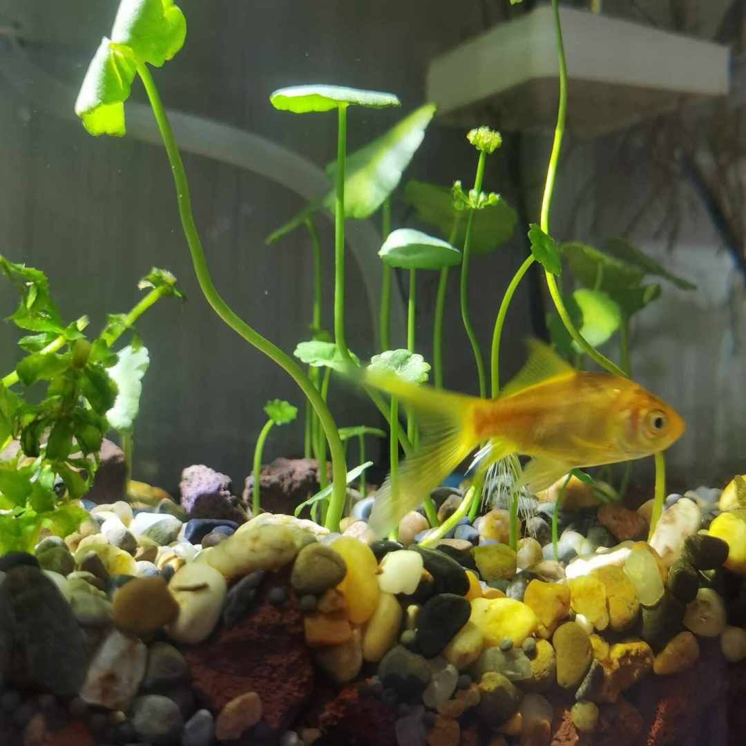 9月