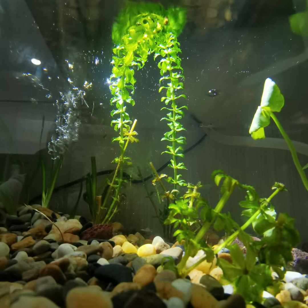 9月