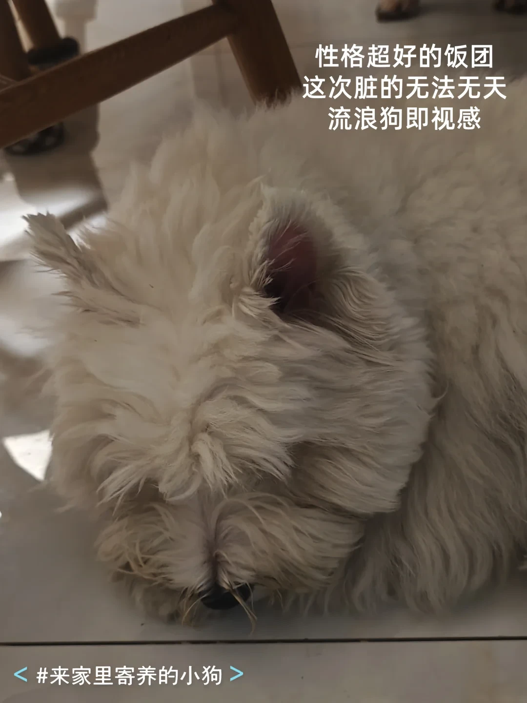 极狐门店到底是710家还是300家？T7的3万台订单在交付，先看清你家那台车由谁修