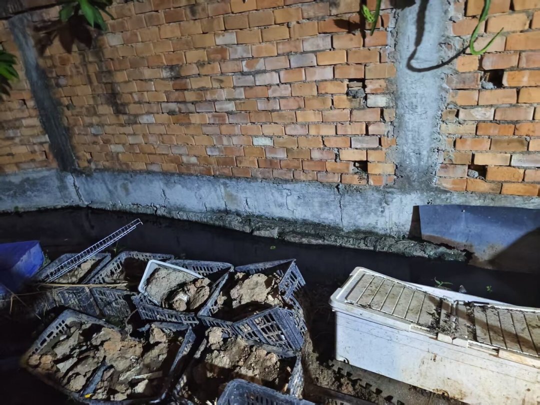5天内同一家救助站被避雷3次:我把商水案和二十多条曝光帖拆开,做成了送猫狗前的10分钟核验清单