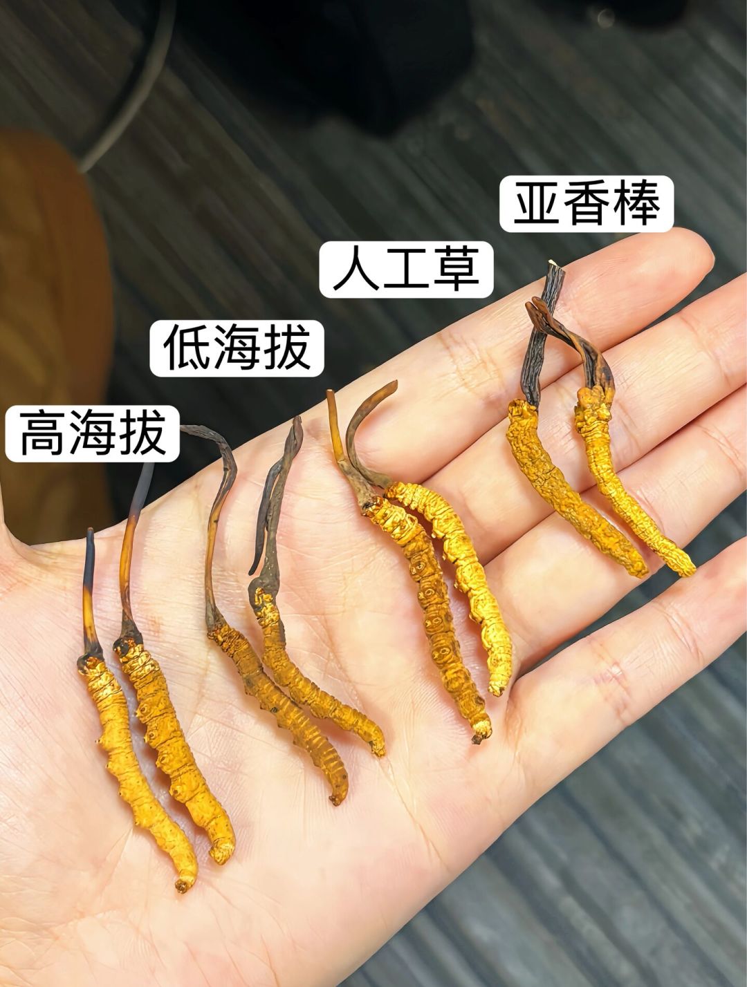 32块一根的