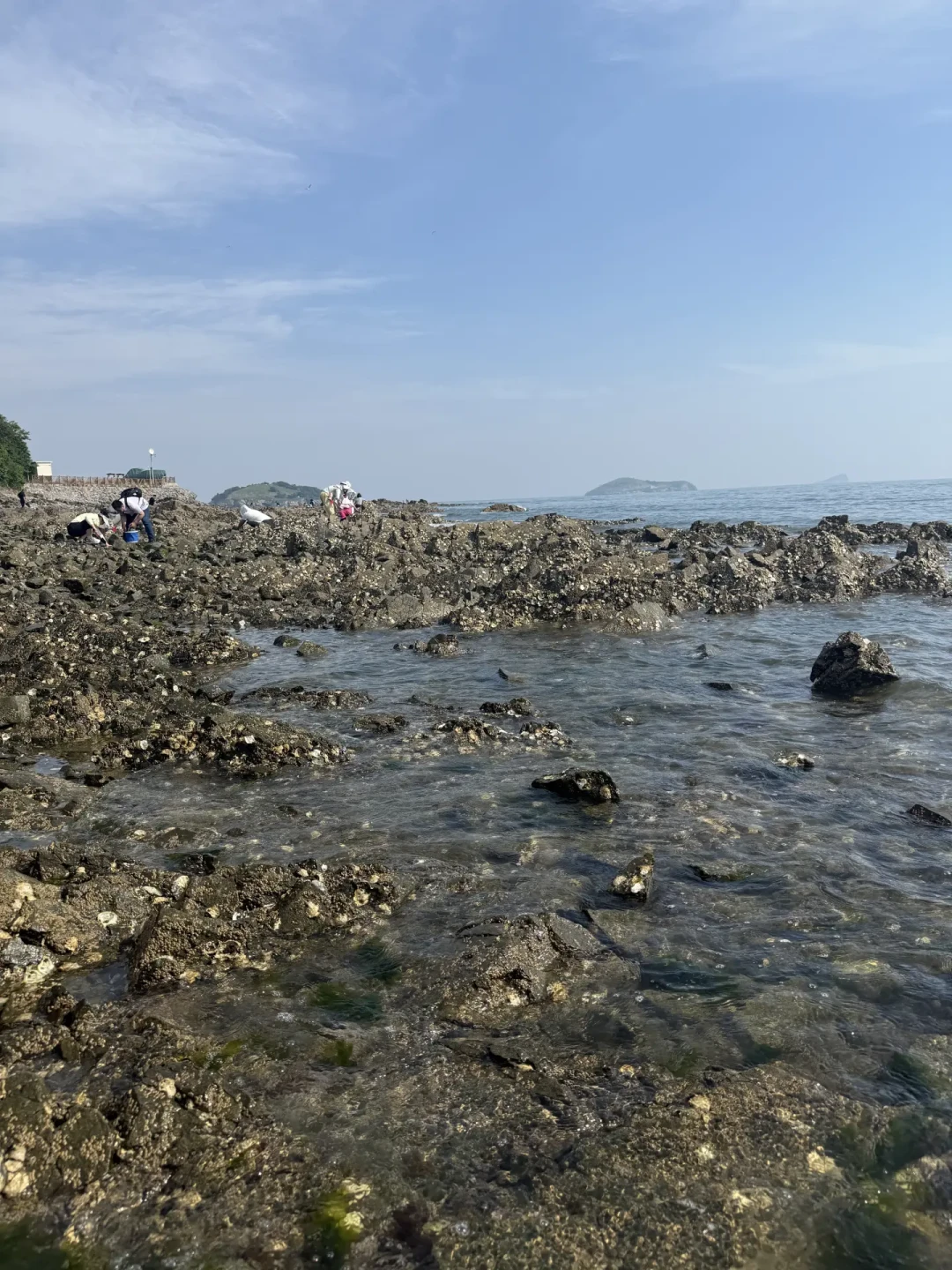 中秋是大潮、国庆是小潮:乳山银滩赶海之前,先把这4本账对平