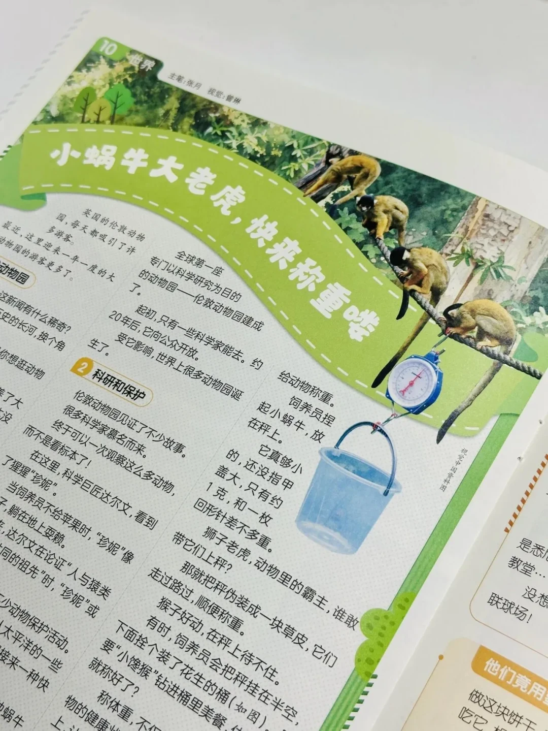 阳光少年报9月14日改版涨价，另一批家长还卡在八月的《博物》上：这学期的订刊门，我替你全走了一遍