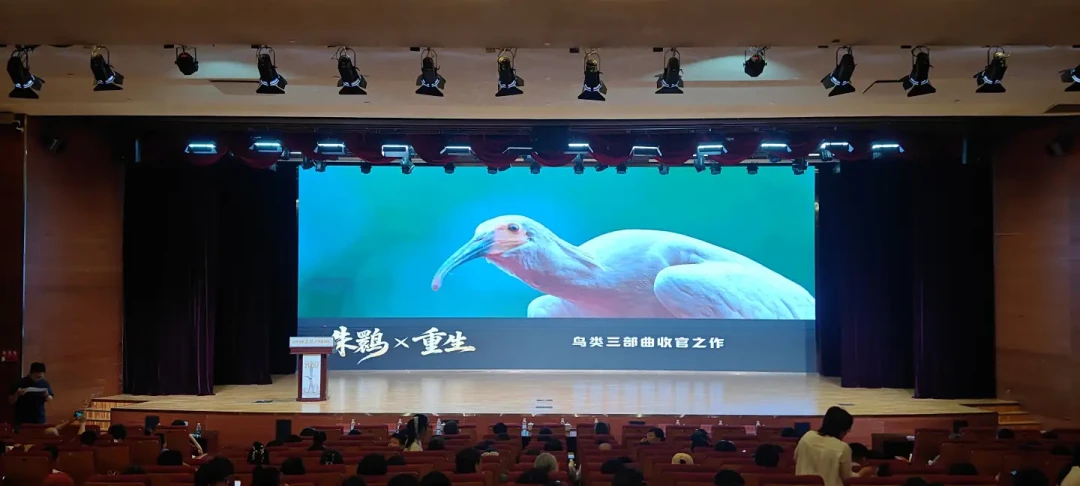 上映口径
