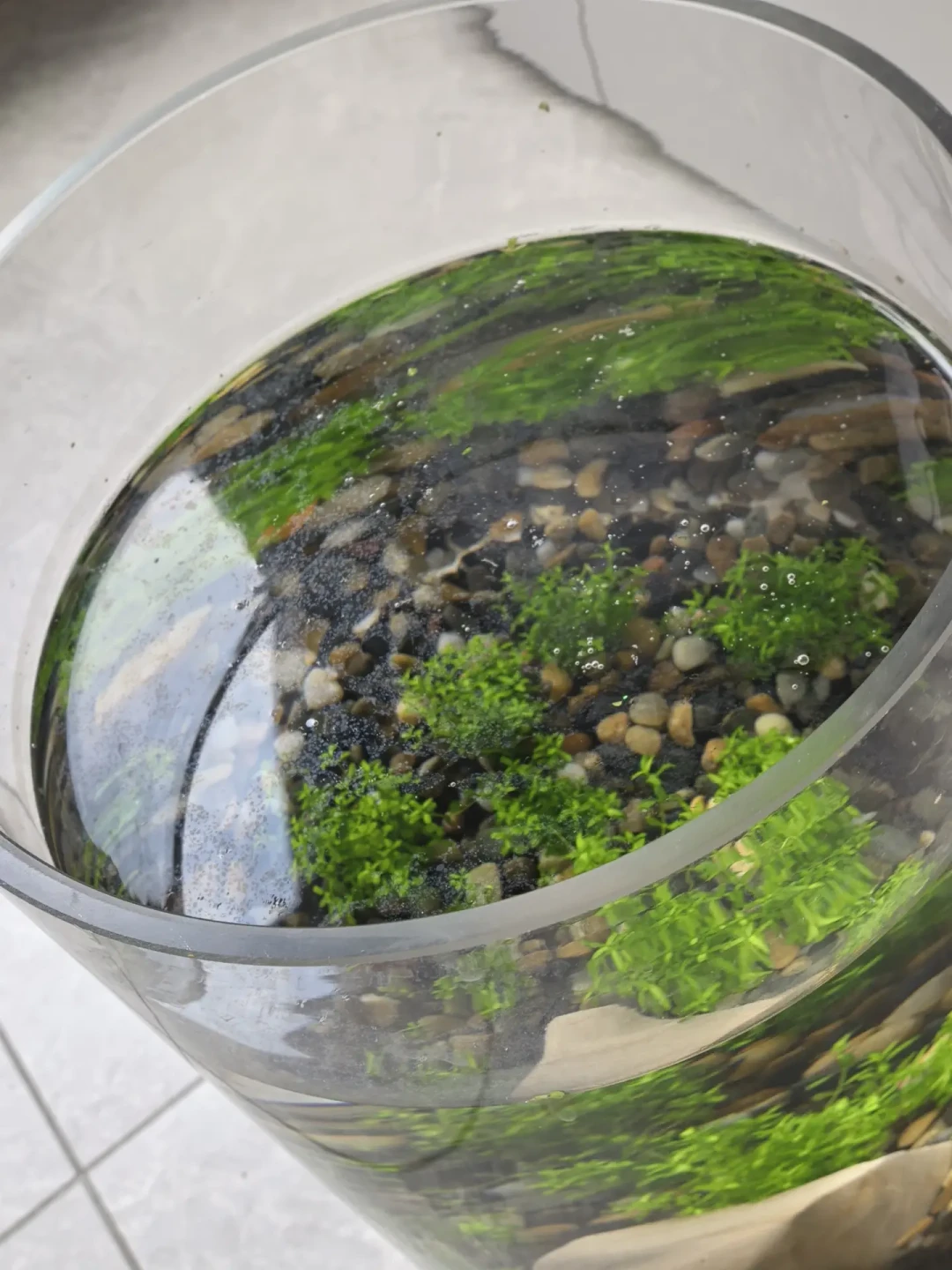 新开缸水浑、水面漂油膜、总有一个角最脏:翻完4.8万播放的流场论视频、507条争吵评论和20多条9月求助帖,先0元测流场再花钱,这本账一次算清