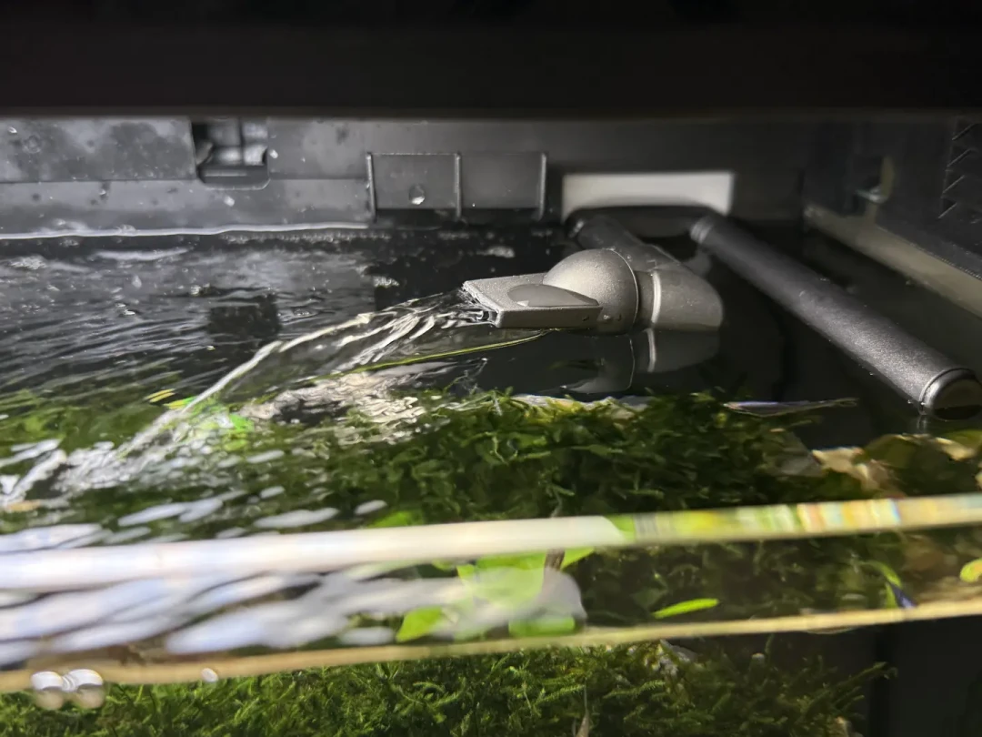 新开缸水浑、水面漂油膜、总有一个角最脏:翻完4.8万播放的流场论视频、507条争吵评论和20多条9月求助帖,先0元测流场再花钱,这本账一次算清