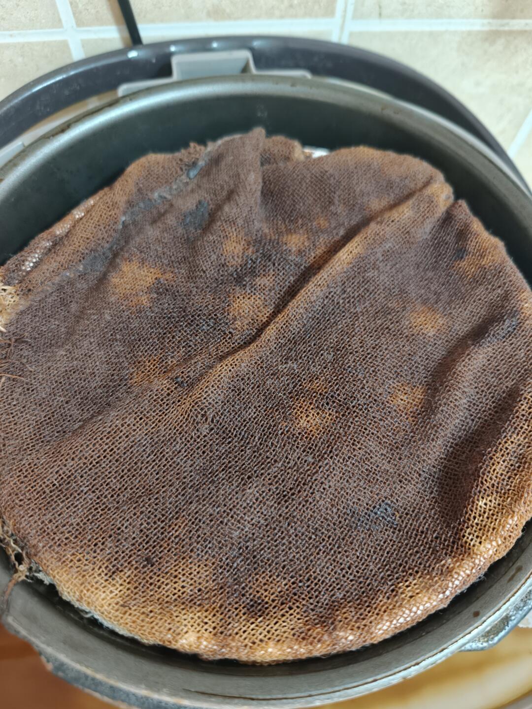 白露这周,全网都在自己蒸玉灵膏:有人蒸到120小时,有人听到40小时当场熄火