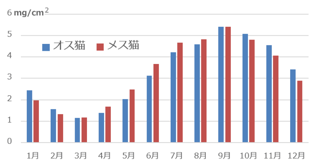 2750万根毛的开关是日照不是气温:秋季换毛季这3个“越养越伤”的动作,一个都别乱做