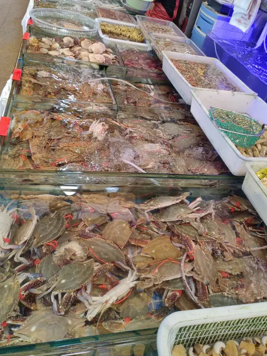 为吃海鲜的13天够用了,但时点不能错:4大海域开渔历对上12组码头实价,什么时候买、买多少钱,一目了然