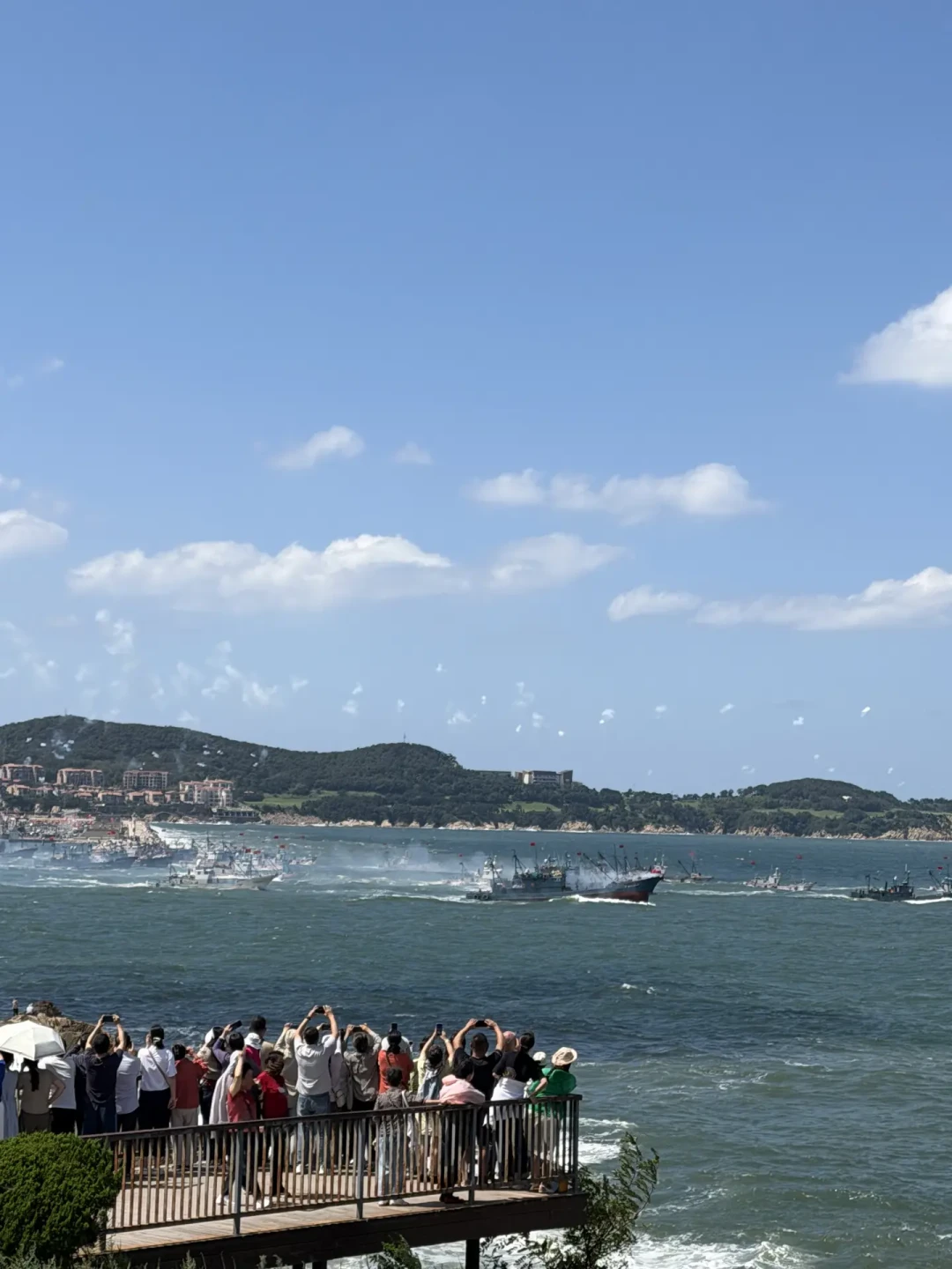 为吃海鲜的13天够用了,但时点不能错:4大海域开渔历对上12组码头实价,什么时候买、买多少钱,一目了然