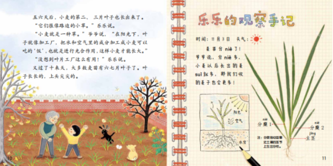 开学第一周,娃把《小羊上山》读卡壳了?先分清“忘了、难了、腻了”,再决定退阶、换书还是硬推