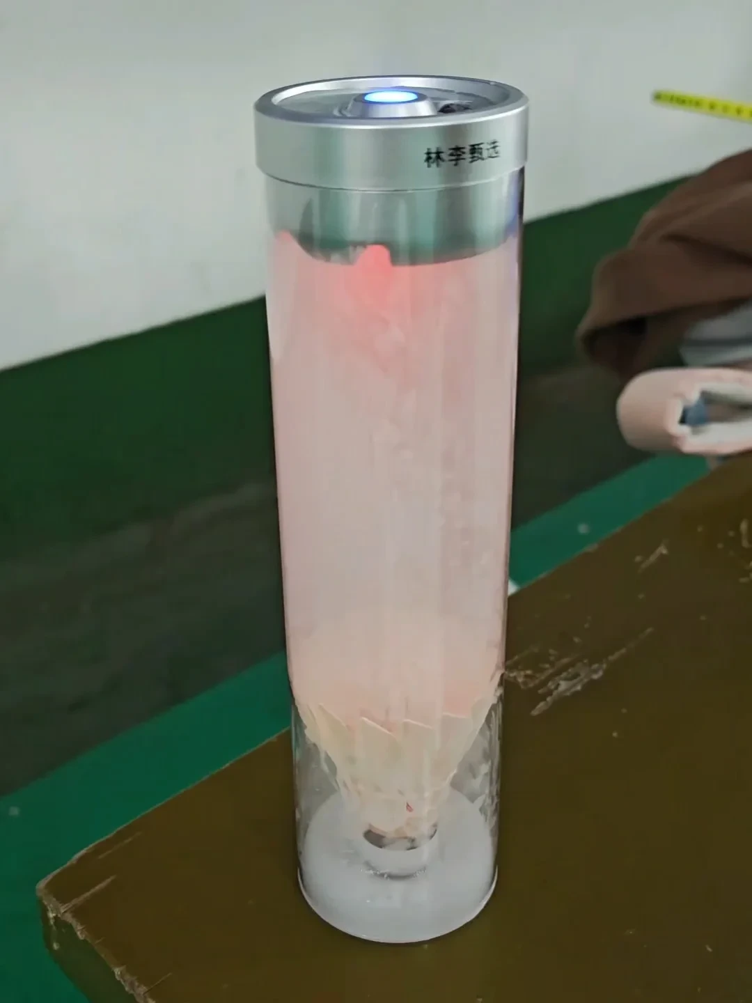 亚狮龙被蒸到