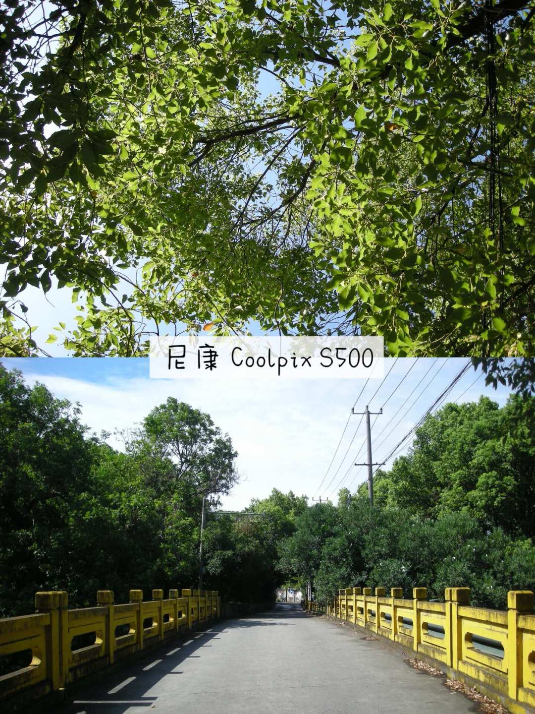 佳能G12被炒到六千,冷门票子还在五百内:这轮复古CCD的捡漏规则,彻底反了