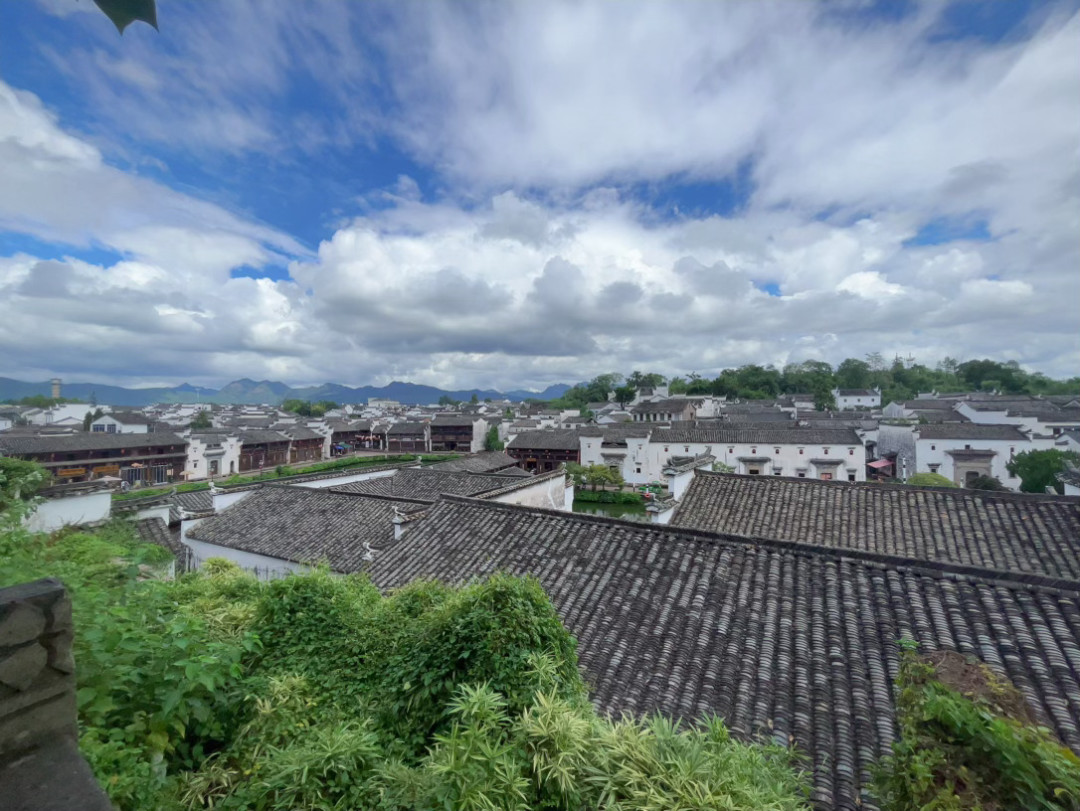 戴建业背过剑门关省下105元：丞相路上的四站“背诵免票”，我把考点、窗口、名单和雷区对完了