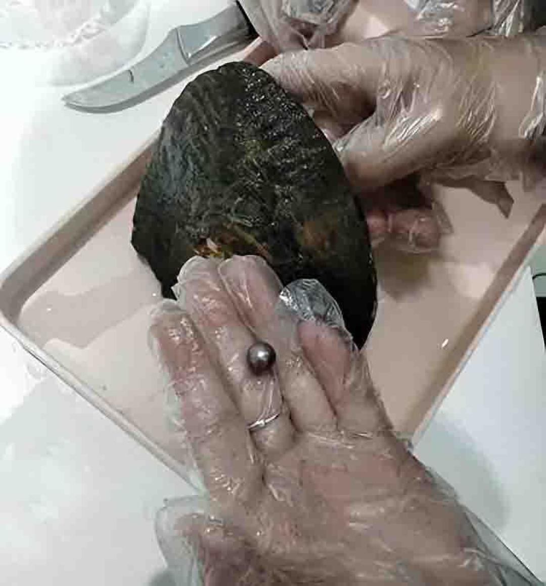 深夜开蚌直播间，正在被年轻人玩成经营模拟：花钱买那30秒