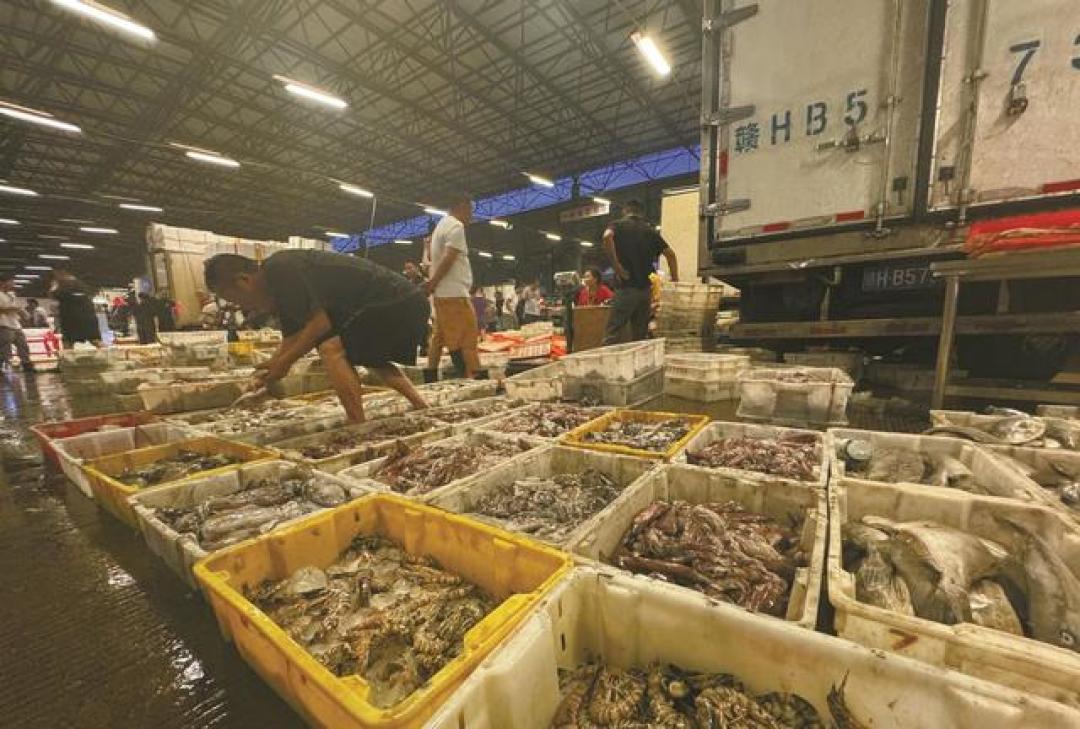 东海9.16大开渔，中秋就隔9天：这周别为“头茬”抢溢价，降价窗口其实只有一周