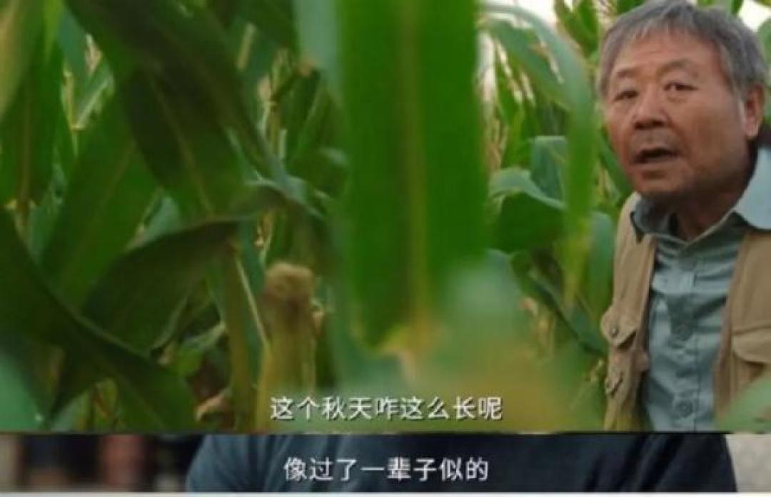 《漫长的季节》的