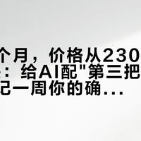 卖了一个月，价格从230美金塌到30块：给AI配"第三把键盘"前，先记一周你的确认次数