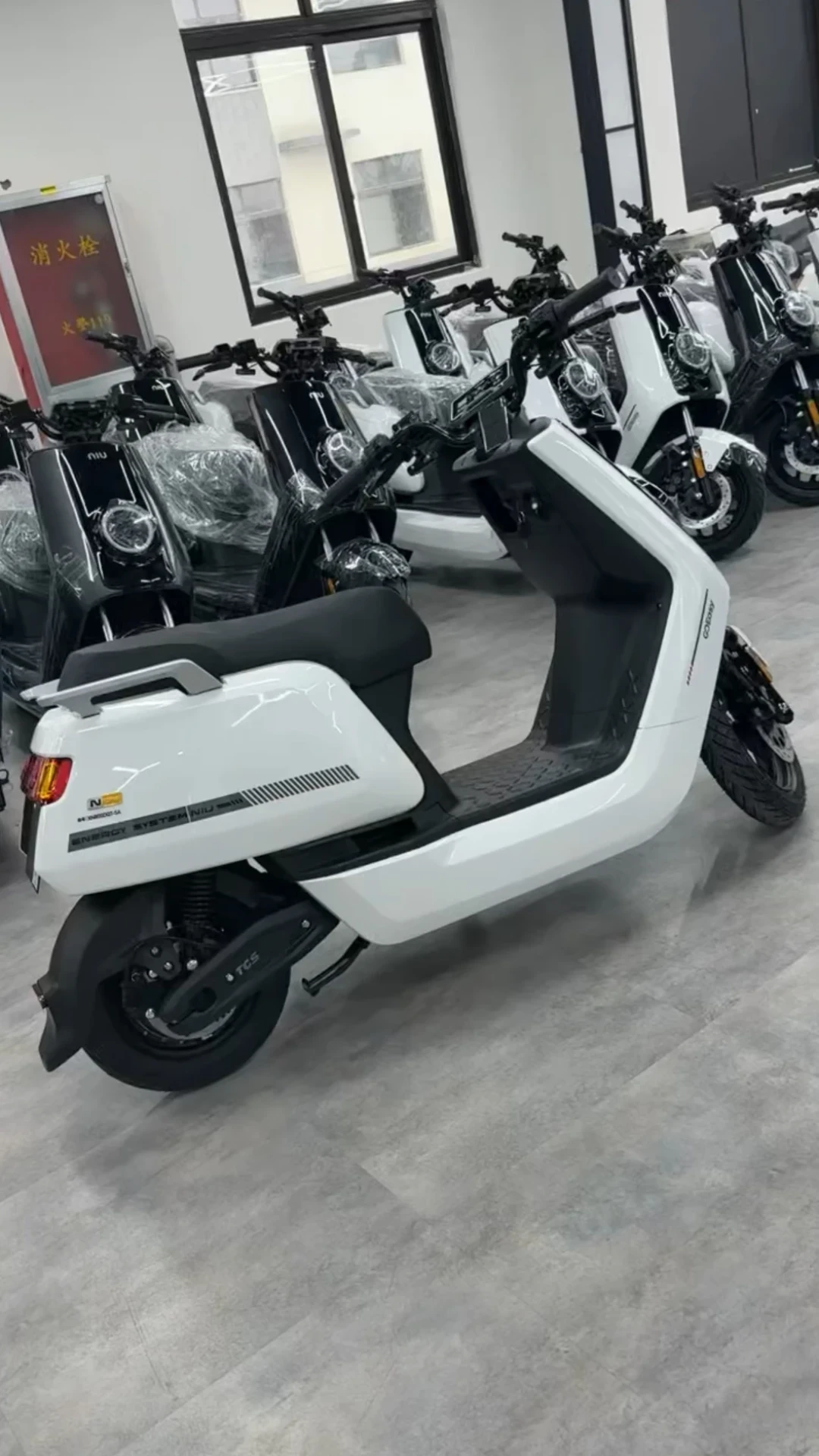 一口价2999的