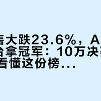 8月零售大跌23.6%，A10却卖了3万台拿冠军：10万决赛圈的人，先看懂这份榜单的3个成分