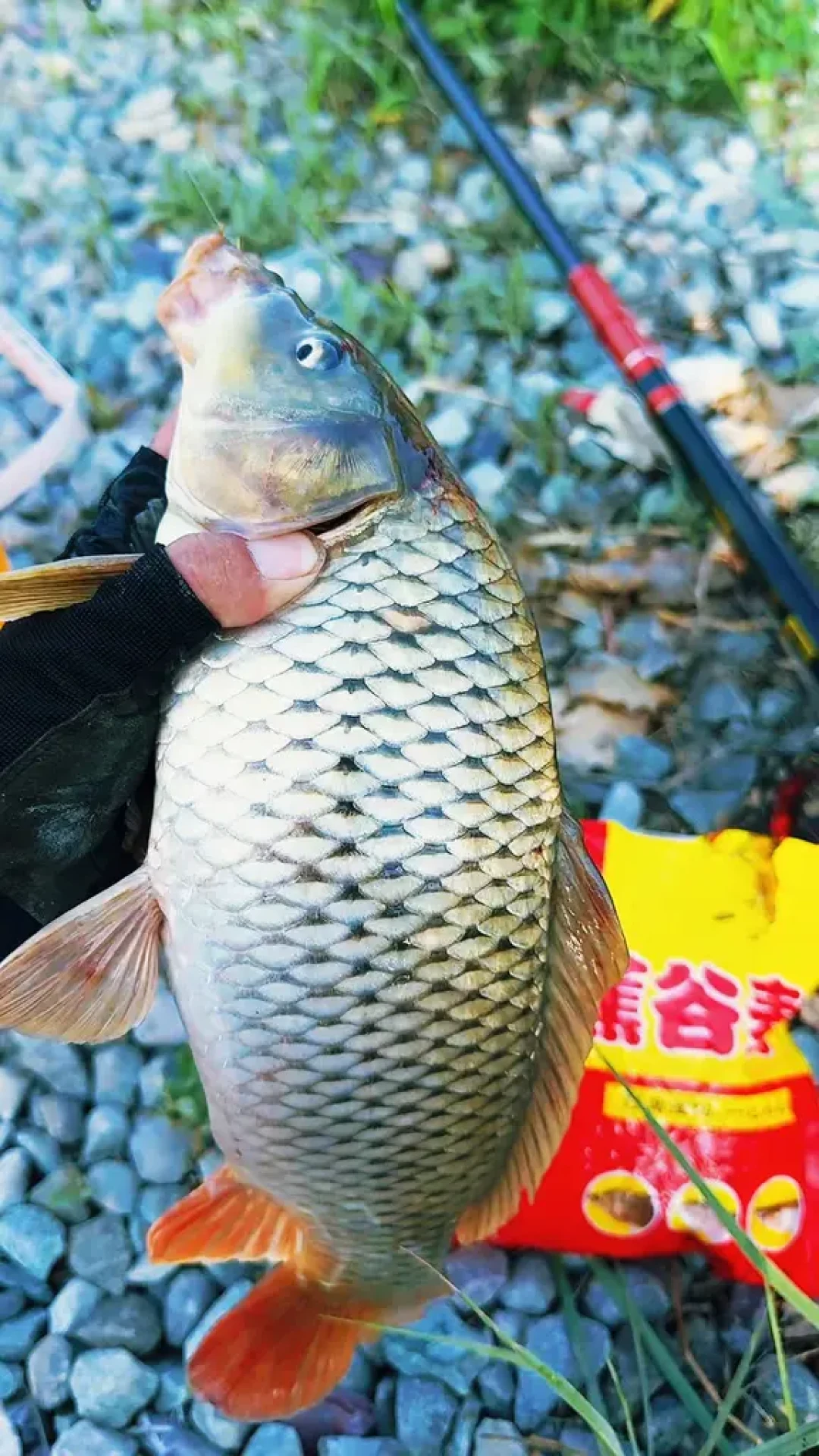 立秋后