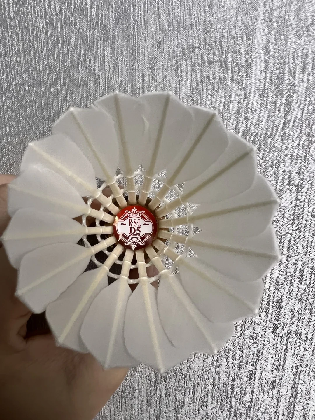 马来西亚