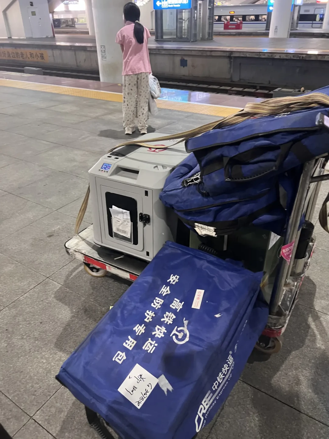 国庆“带狗还是留狗”吵翻了：我把高铁爱宠行、40元和150元寄养、上门喂养这笔账算完，顺手对完了邛崃那件事