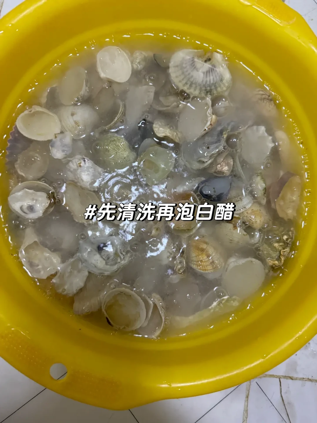 国庆赶海刷屏前,先把捡贝壳这笔账算清:头三天潮水最小,四样东西别伸手,回家还有第二关
