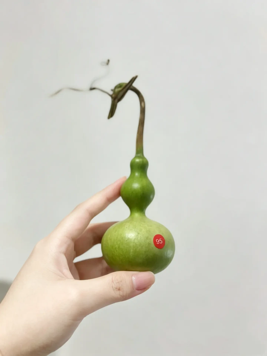 白露刚过，