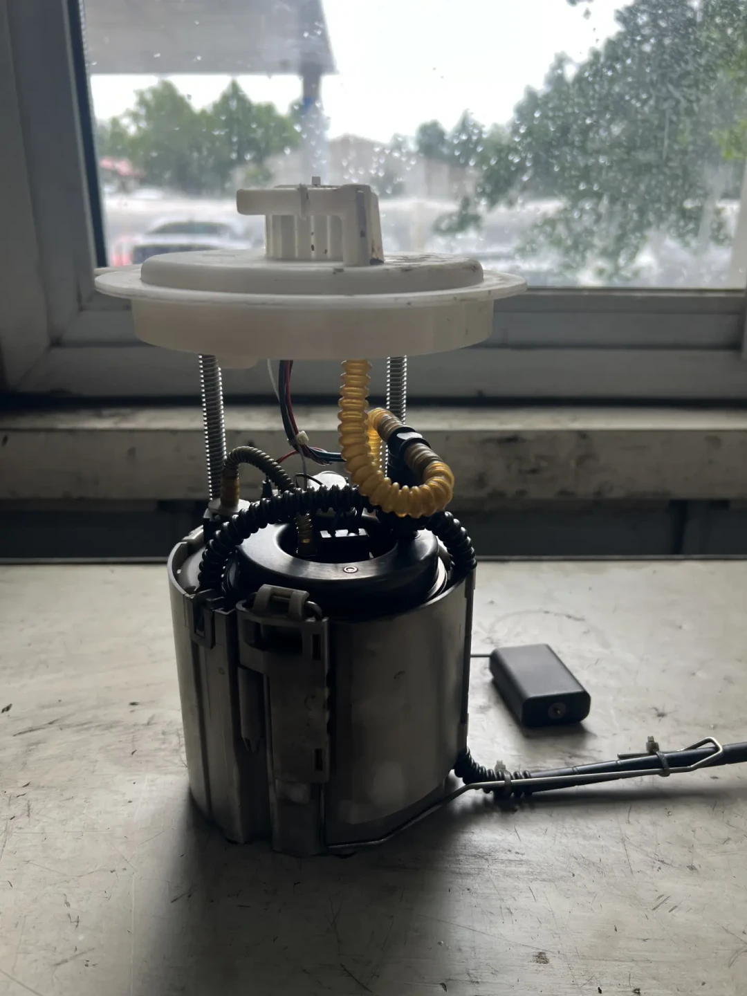 小红书1056赞说