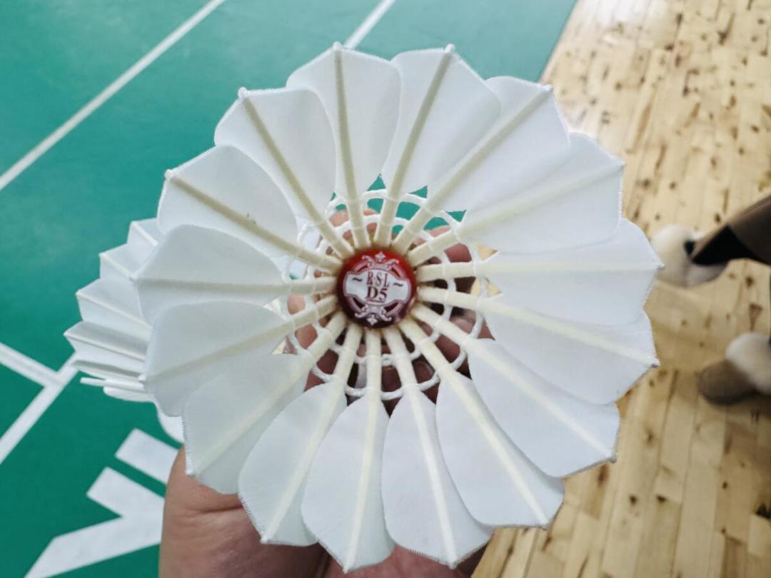 亚狮龙的76速总是最先断货，哈尔滨店里却常年只见77：入秋第一桶前，先把场馆的温、湿、海拔对齐到同一把尺